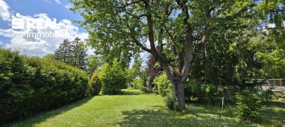 4 rooms House in Klosterneuburg, Austria No. 173330 5