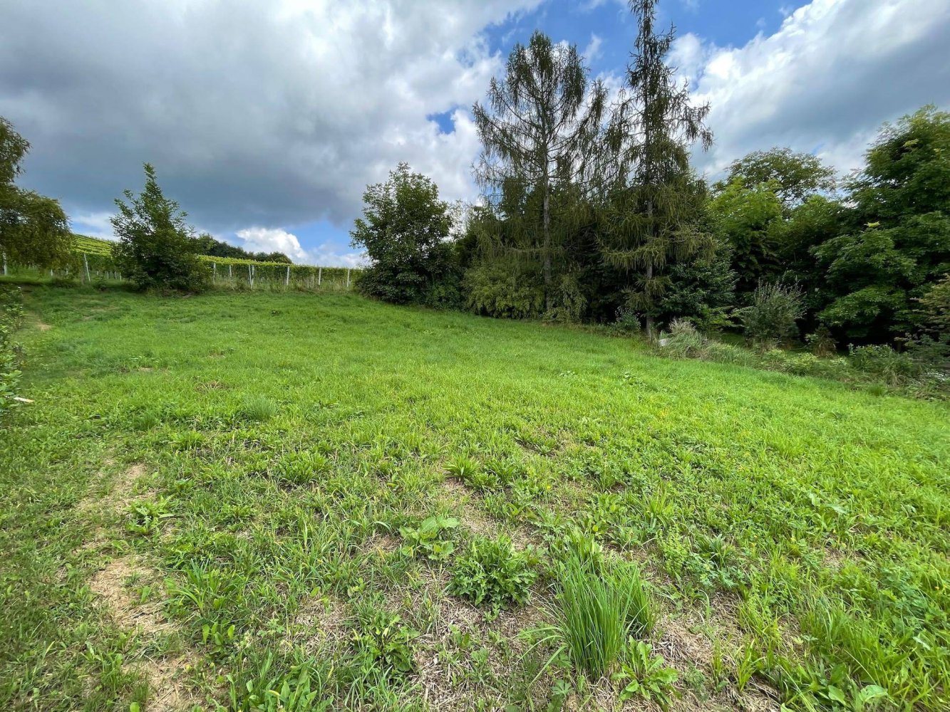 1310m² Land in Weiz, Austria No. 241040