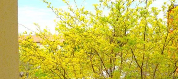 Apartamento de 5 habitaciónes en Pontedera, Italy No. 293019 13