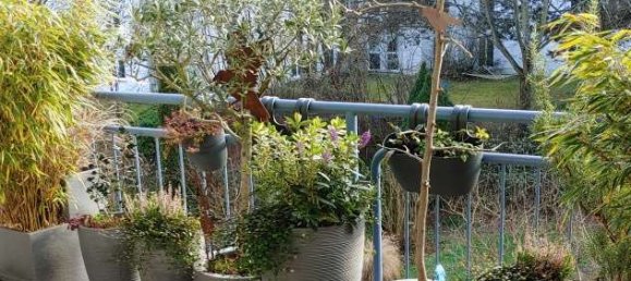 3 bedrooms Apartment in Darmstadt, Germany No. 68414 14