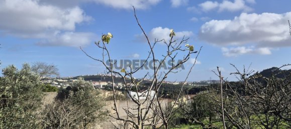  قطعة أرض في Sintra, Portugal 2176متر مربع رقم 155631 9