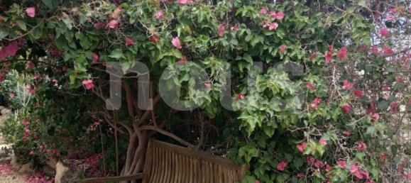 6 bedrooms Villa in Tenerife, Spain No. 16148 19