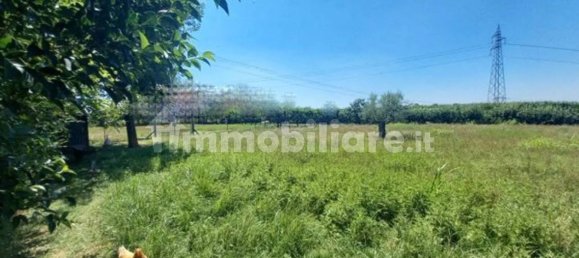 Дом с 6 спальнями в Кьяри, Италия № 264776 6