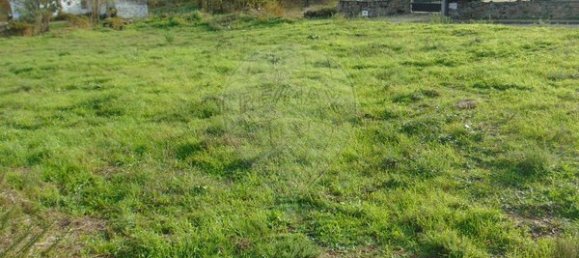 1 bedroom House in Celorico da Beira, Portugal No. 78472 10