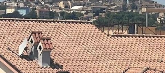 12 rooms Apartment in Civitanova Marche, Italy No. 303423 40