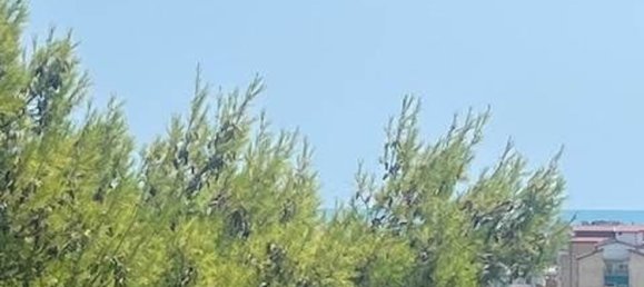 12 rooms Apartment in Civitanova Marche, Italy No. 303423 35