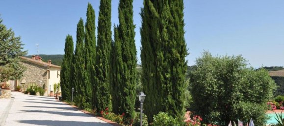 15 rooms House in Chianni, Italy No. 58432 14