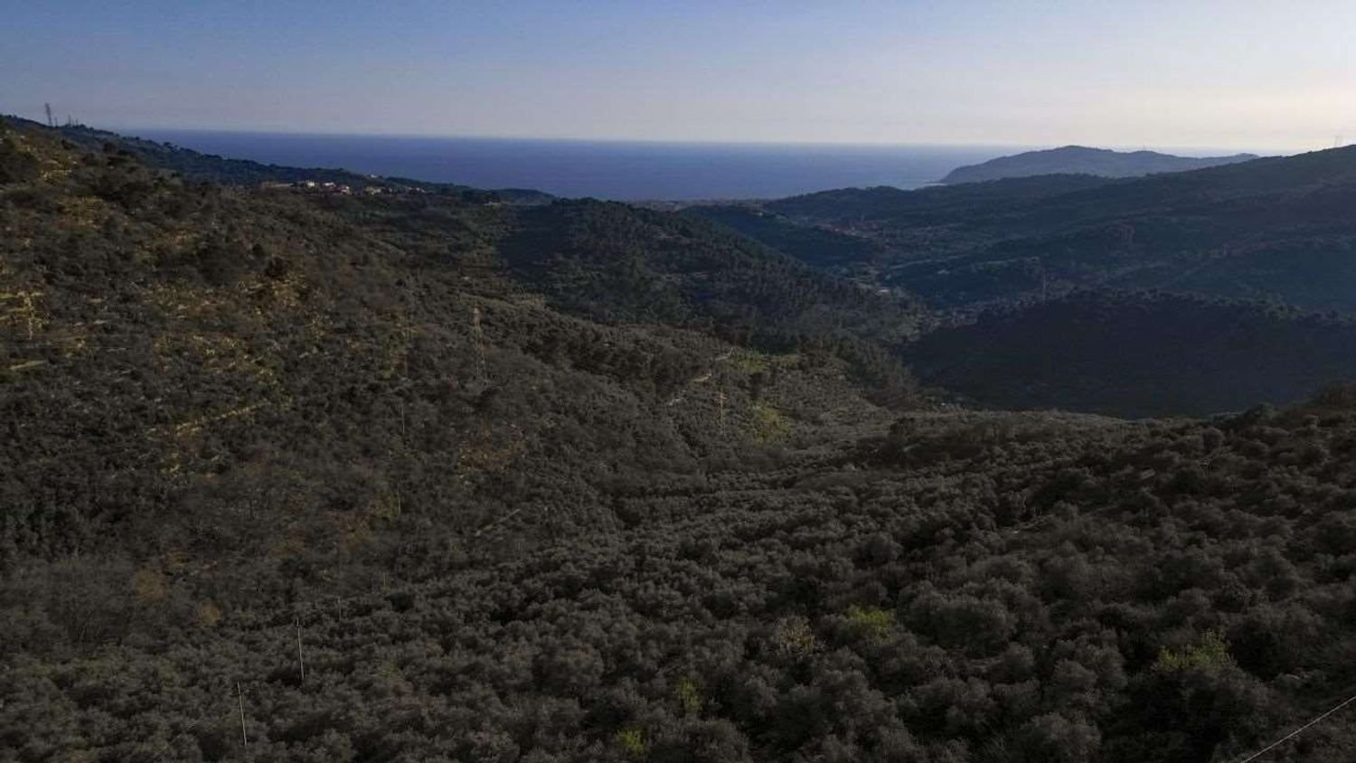 3-salle Appartement à Villa Faraldi, Italy No. 235832