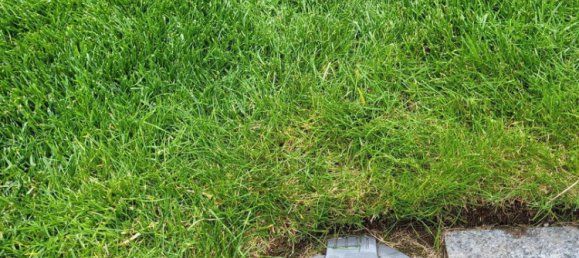 4-Zimmer Stadthaus in Linz, Austria, Nr. 192892 26