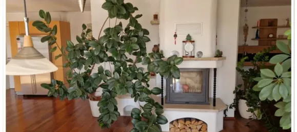 4 bedrooms House in Dachau, Germany No. 133840 6