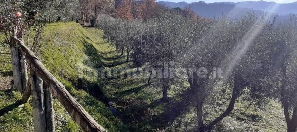 3 غرف نوم منزل في Coreglia Antelminelli, Italy رقم 323935 8