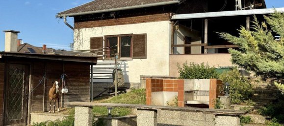 3 rooms House in Himberg, Austria No. 254909 4
