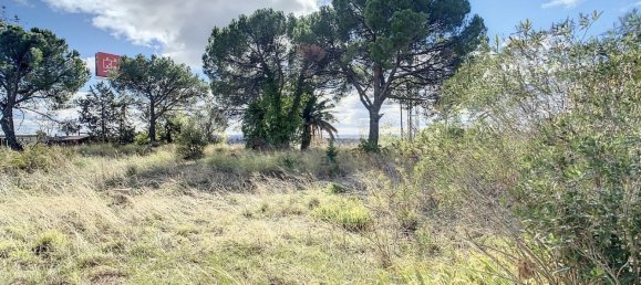  قطعة أرض في Las Rozas de Madrid, Spain رقم 118336 10