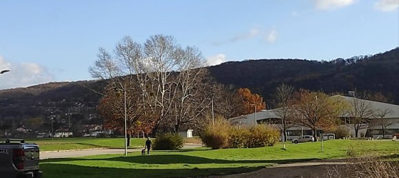 4غرفة شقة في Korneuburg, Austria رقم 148335 7