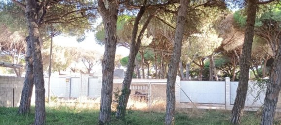 Land in Cadiz, Spain No. 167168 8