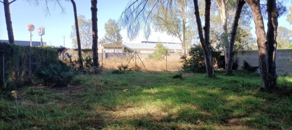 Land in Cadiz, Spain No. 167168 11