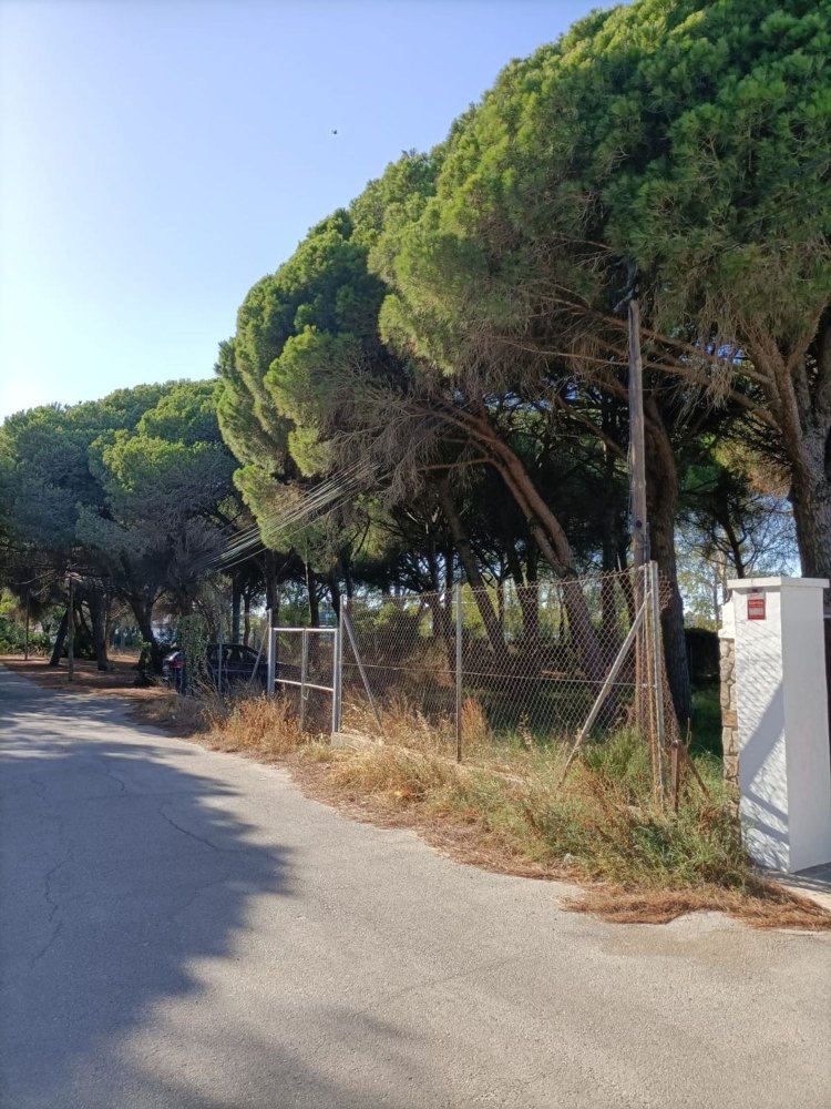  Land in Cadiz, Spain No. 167168