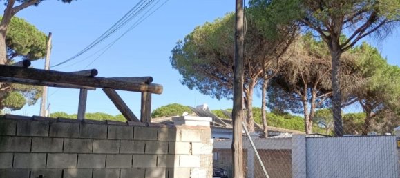 Land in Cadiz, Spain No. 167168 10