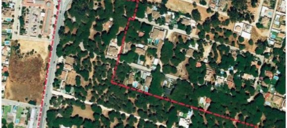 Land in Cadiz, Spain No. 167168 3