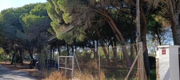 Land in Cadiz, Spain No. 167168 13