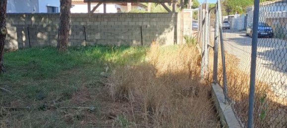 Land in Cadiz, Spain No. 167168 7