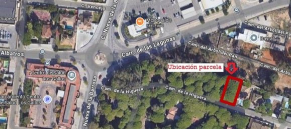 Land in Cadiz, Spain No. 167168 6