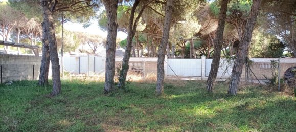 Land in Cadiz, Spain No. 167168 12