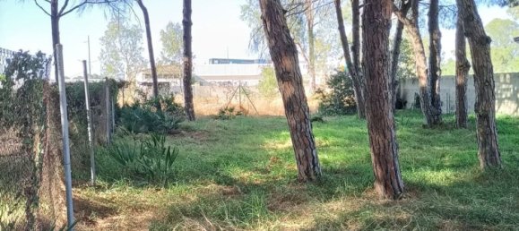 Land in Cadiz, Spain No. 167168 9