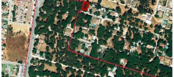 Land in Cadiz, Spain No. 167168 2