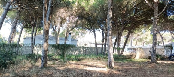 Land in Cadiz, Spain No. 167168 14