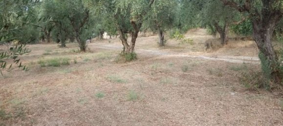 2 Schlafzimmer Wohnung in Zakynthos, Greece, Nr. 520 6