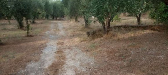 2 Schlafzimmer Wohnung in Zakynthos, Greece, Nr. 520 4