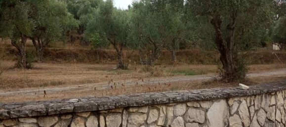 2 Schlafzimmer Wohnung in Zakynthos, Greece, Nr. 520 13