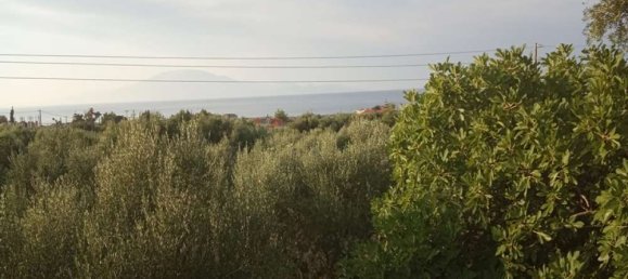 2 Schlafzimmer Wohnung in Zakynthos, Greece, Nr. 520 8
