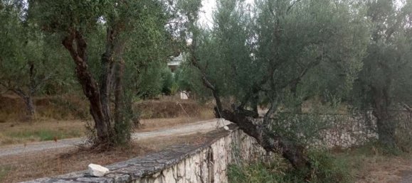 2 Schlafzimmer Wohnung in Zakynthos, Greece, Nr. 520 18