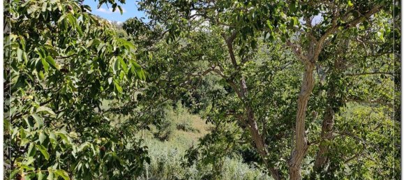 3 rooms House in Bolognano, Italy No. 85143 22