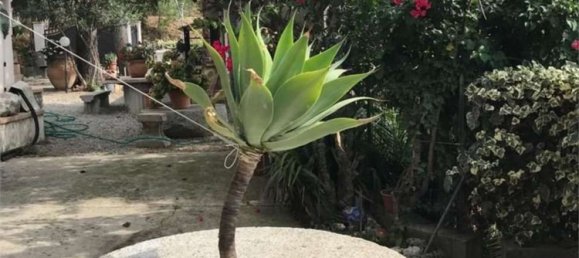 10-salle Villa à Grotteria, Italy No. 13539 19