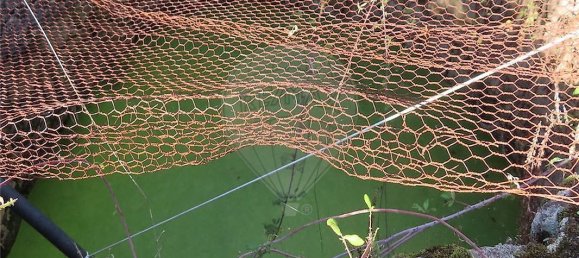 9 غرف نوم منزل في Fundao, Portugal رقم 173067 38