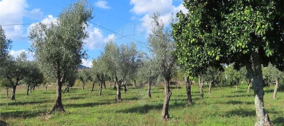 9 غرف نوم منزل في Fundao, Portugal رقم 173067 7