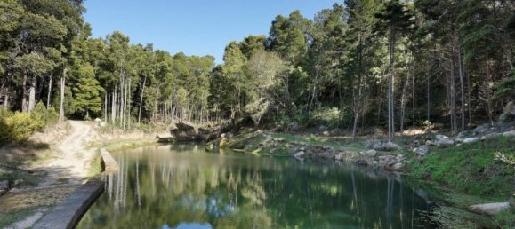 8 Schlafzimmer Haus in Sintra, Portugal, Nr. 50340 4