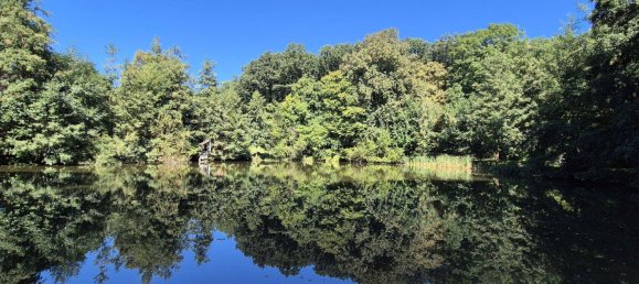 9 rooms House in Harmannsdorf, Austria No. 244030 27