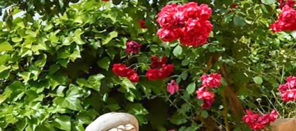 Замки и поместья с 6 спальнями в Силвиш, Португалия № 129273 16