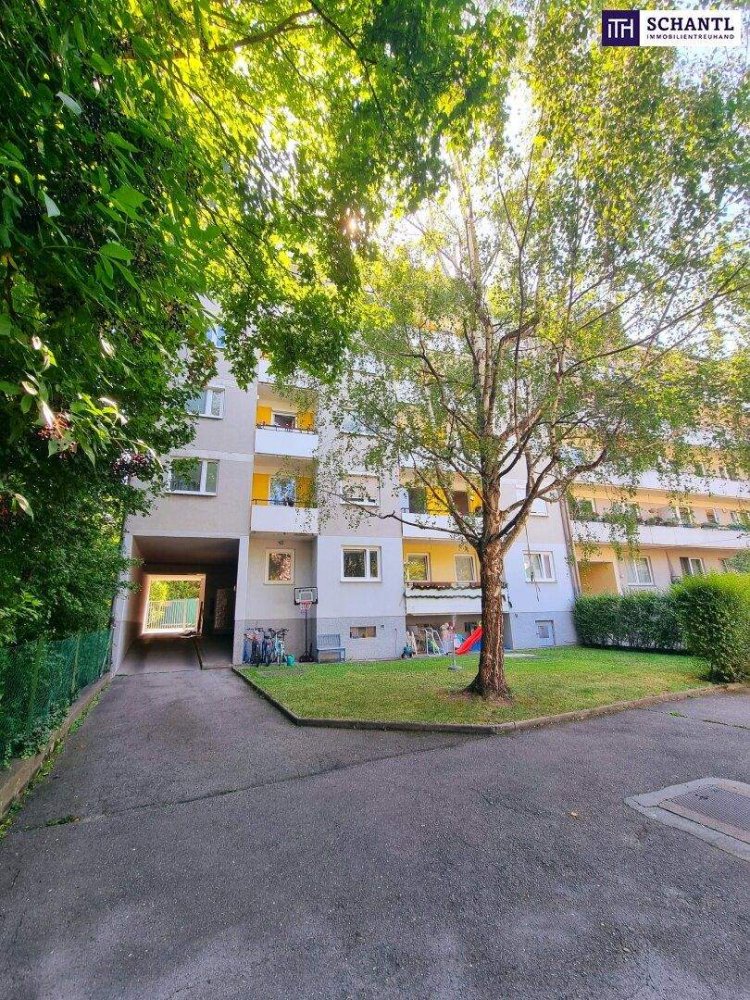 4-Zimmer Wohnung in Wien, Austria, Nr. 257294