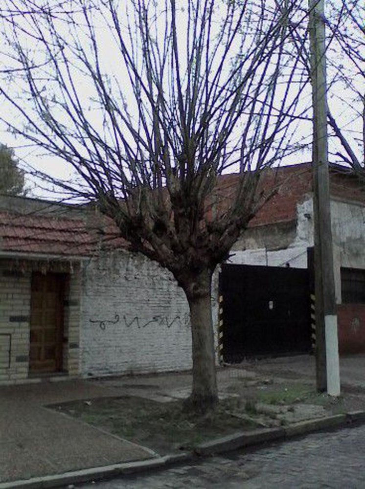  Land in Lanus, Argentina No. 44955