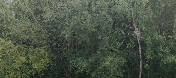 5 bedrooms House in Redon, France No. 276951 11