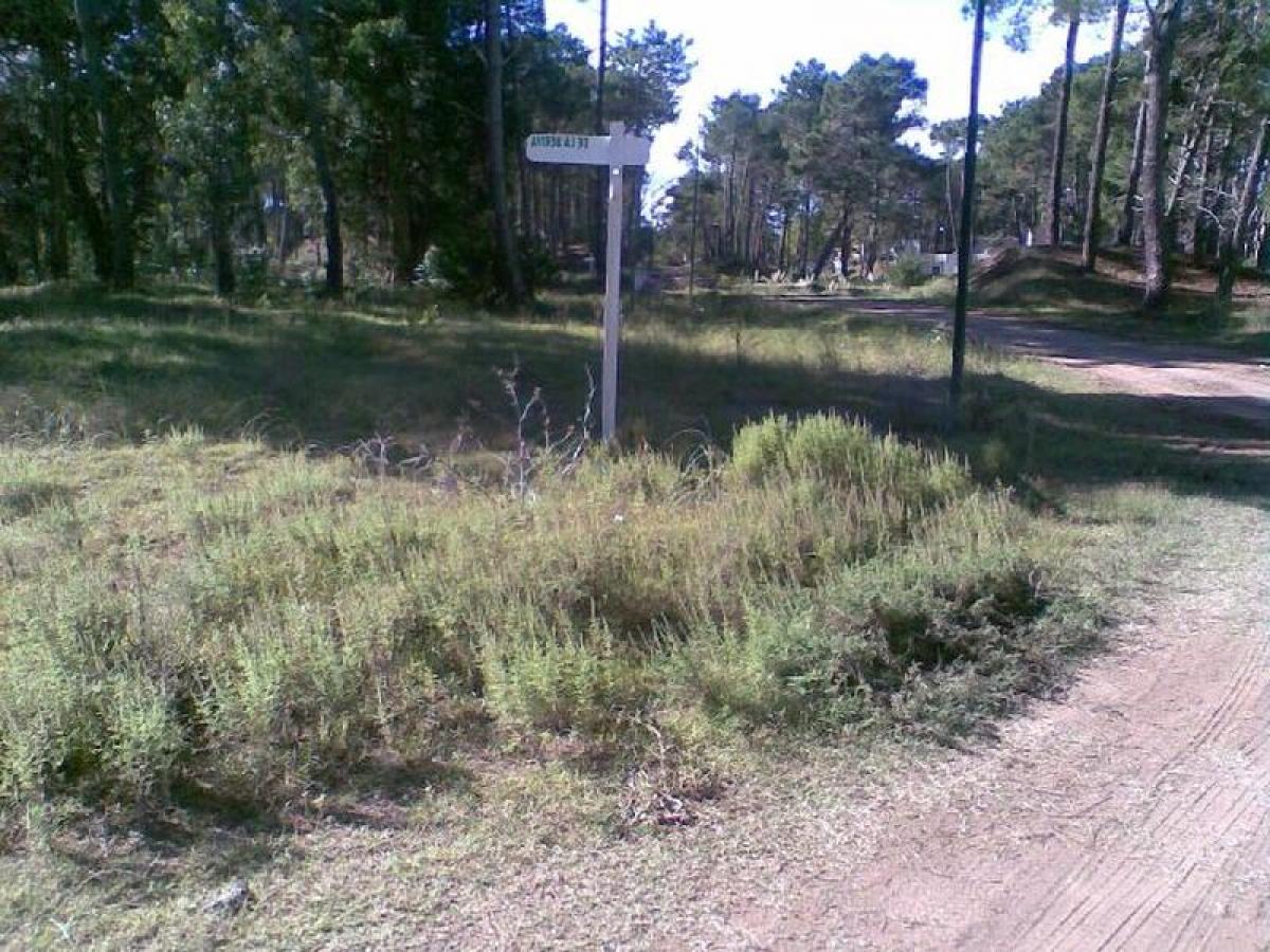 Terrain à Mar del Plata, Argentina No. 120020