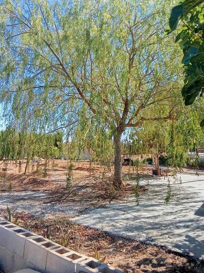 Terrain à Yecla, Spain 16000m² No. 196429