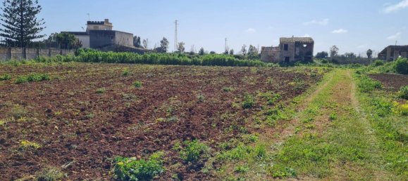 27000m² Land in Castelvetrano, Italy No. 42781 4