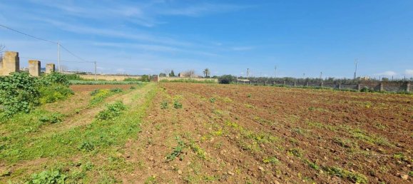 27000m² Land in Castelvetrano, Italy No. 42781 7