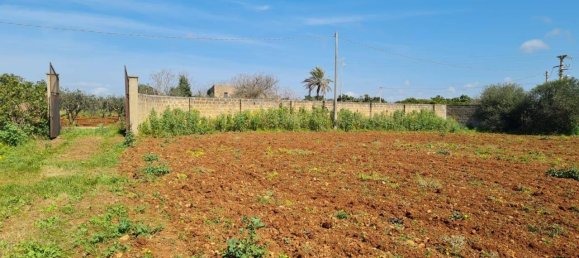 27000m² Land in Castelvetrano, Italy No. 42781 8